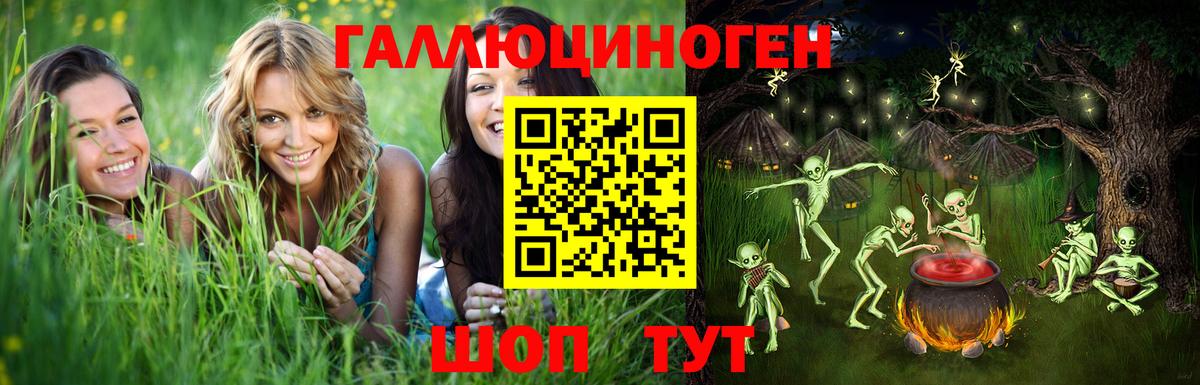 Северобайкальск  Псилоцибиновые грибы мухоморы  купить  сайты  Вход с VPN 