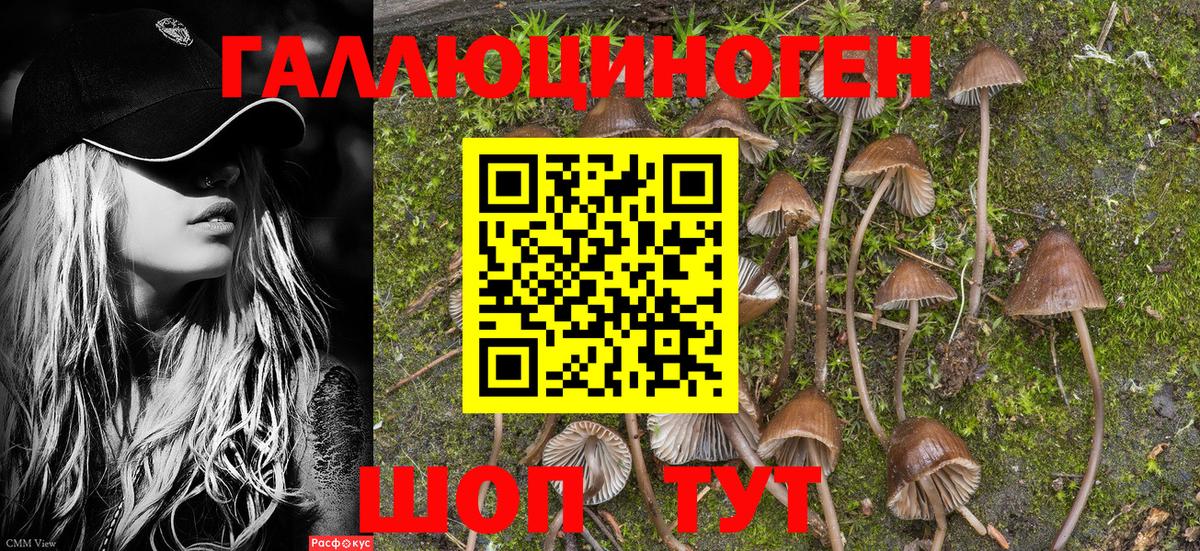 Псилоцибиновые грибы MAGIC MUSHROOMS Северобайкальск